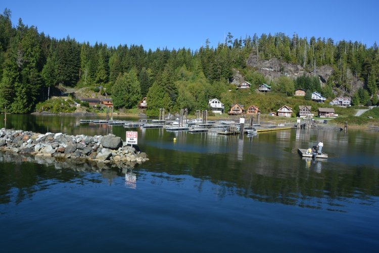 community of houses on shoreline